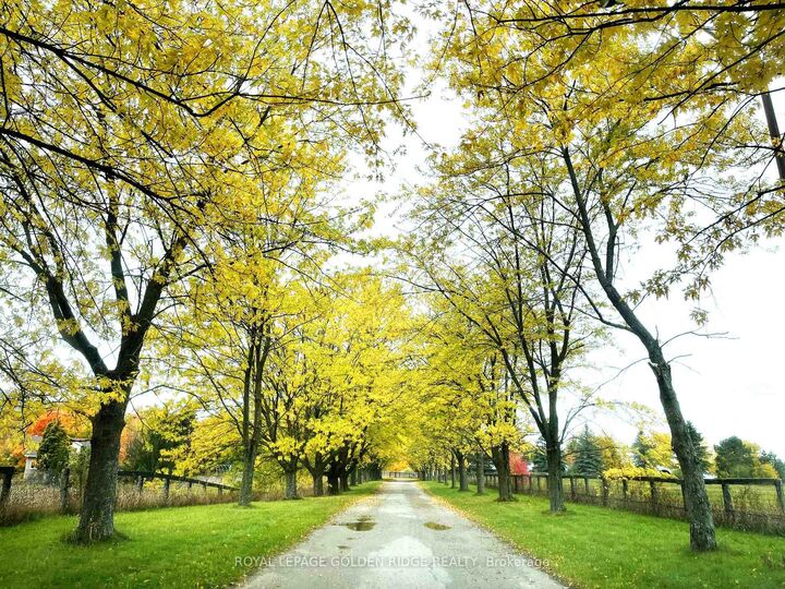 Property Photo:  13682 Warden Avenue  ON L4A 7X5 