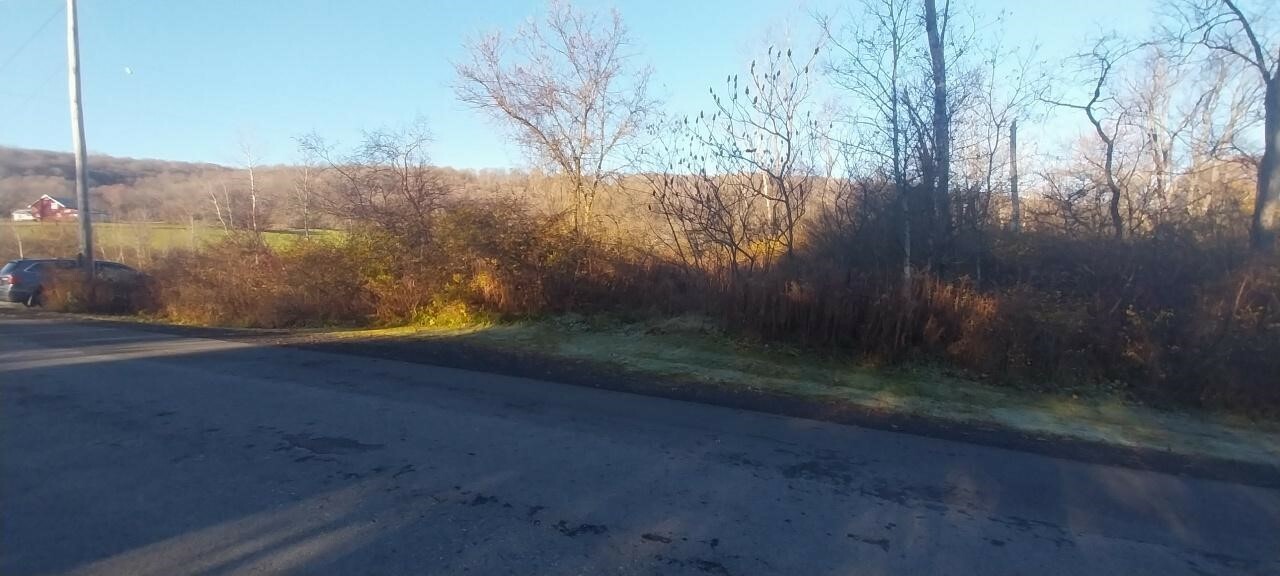 Property Photo:  0 Walpole Rd  NY 13073 