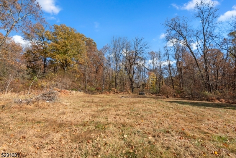 Property Photo:  194 Stanton Mountain Rd  NJ 08833 