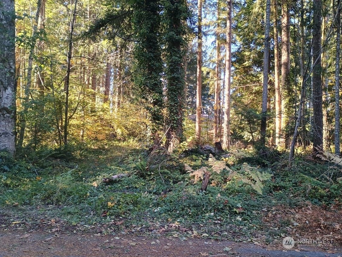 Property Photo:  17621 N Beachside Drive SE  WA 98597 