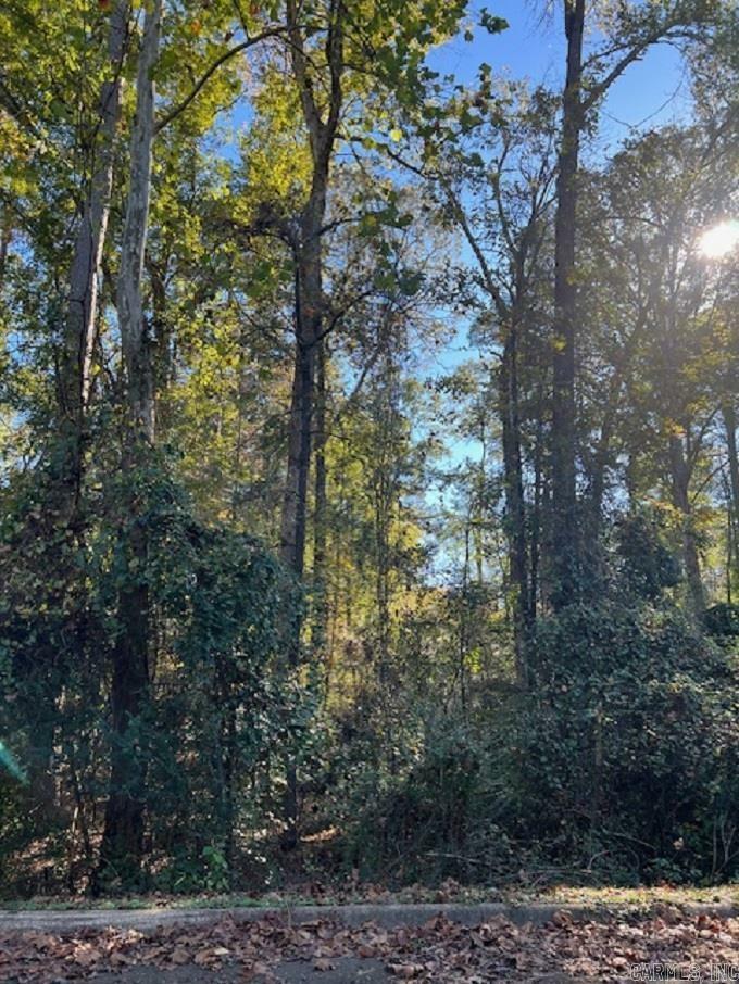 Property Photo:  Lot 14 Mockingbird Lane  AR 71701 