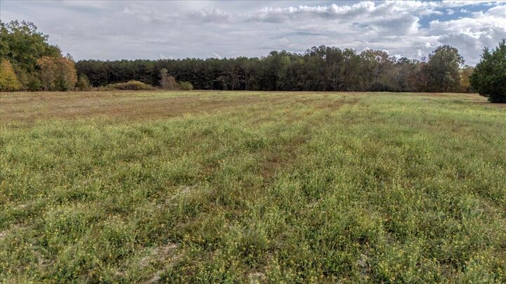 Property Photo: 0 Stonecrop Road SC 29148