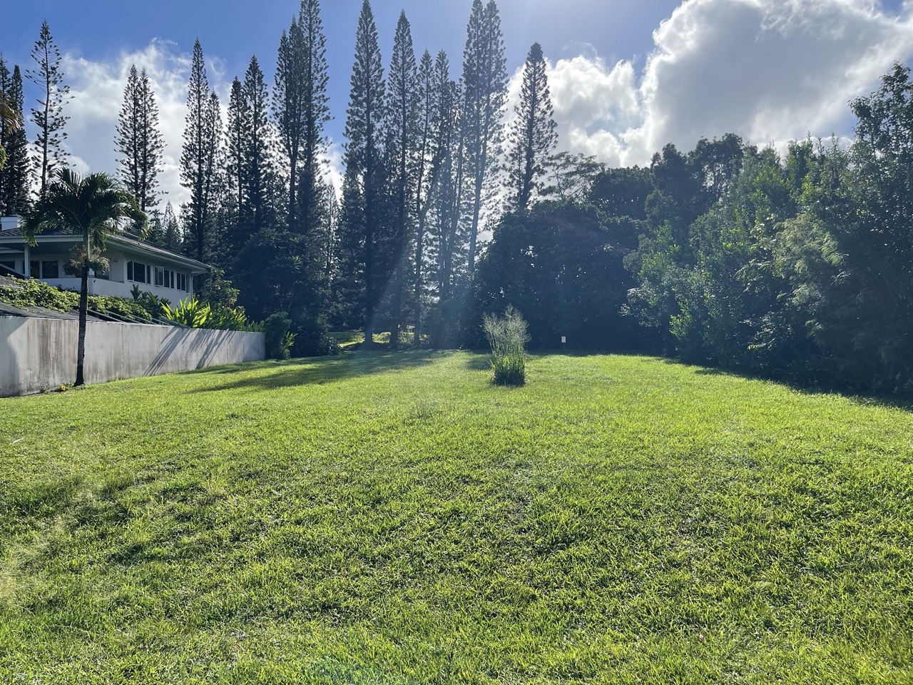 Liholiho Rd  Princeville HI 96722 photo