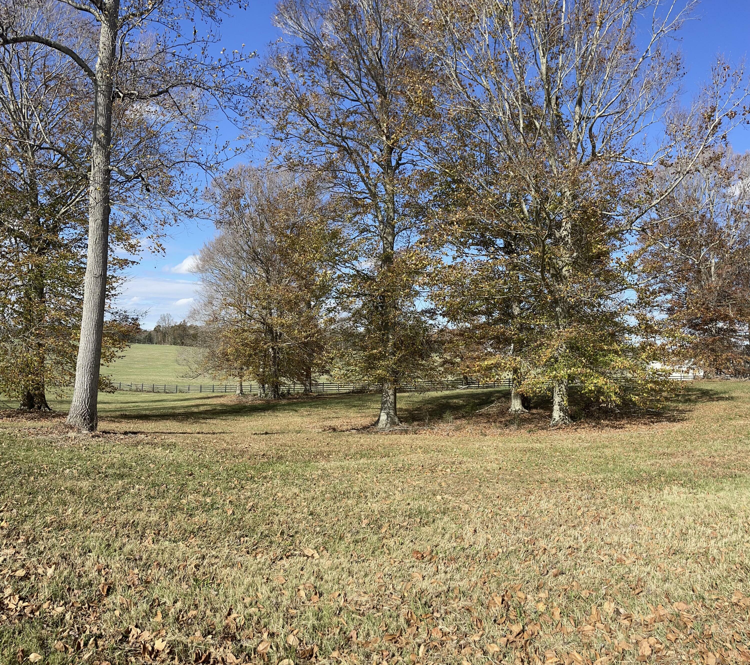 Property Photo:  Lot 221 Stillwater  KY 42642 