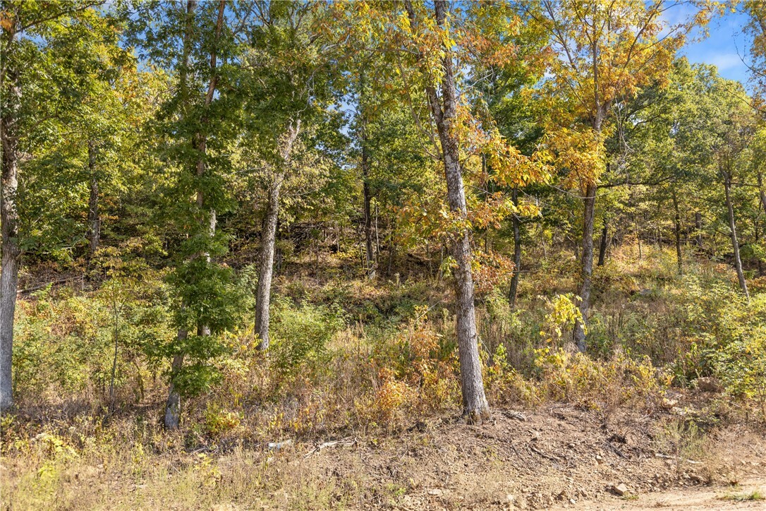 Property Photo:  Lot 8 Peaceful Place  AR 72601 