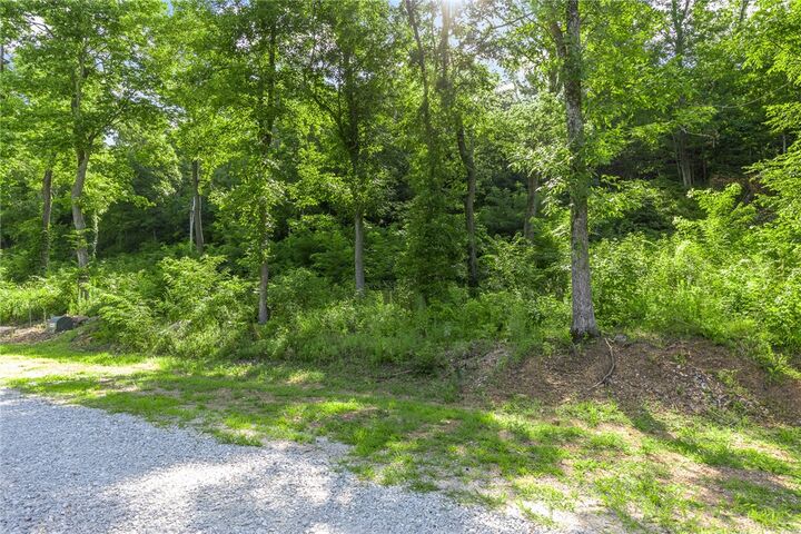 Property Photo: Lot 8 Peaceful Place AR 72601
