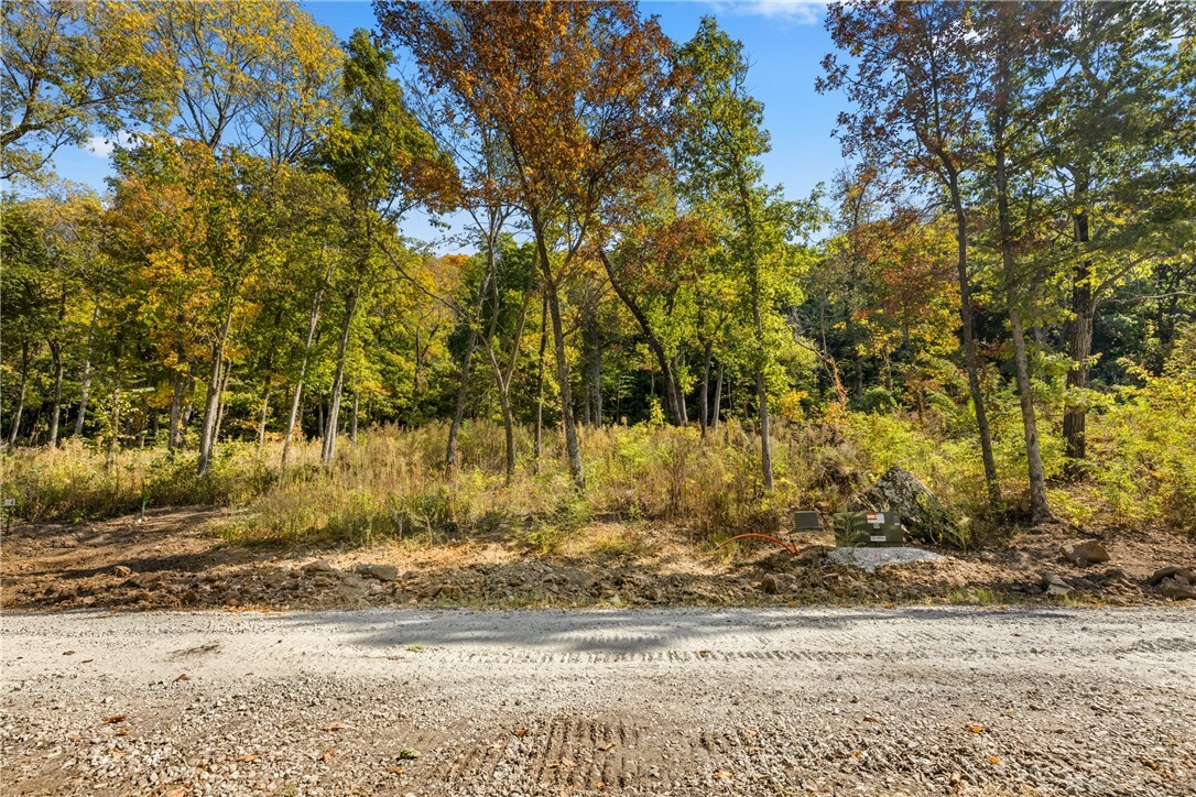 Property Photo:  Lot 4 Significance Summit  AR 72601 