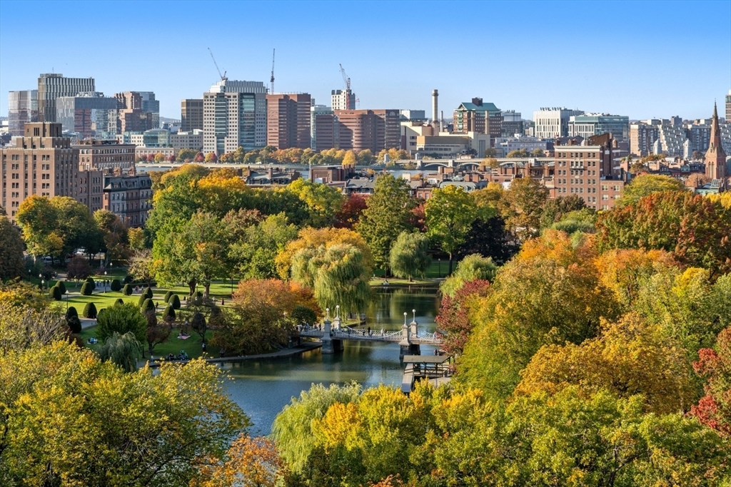 Property Photo: 220 Boylston Street 1201 MA 02116