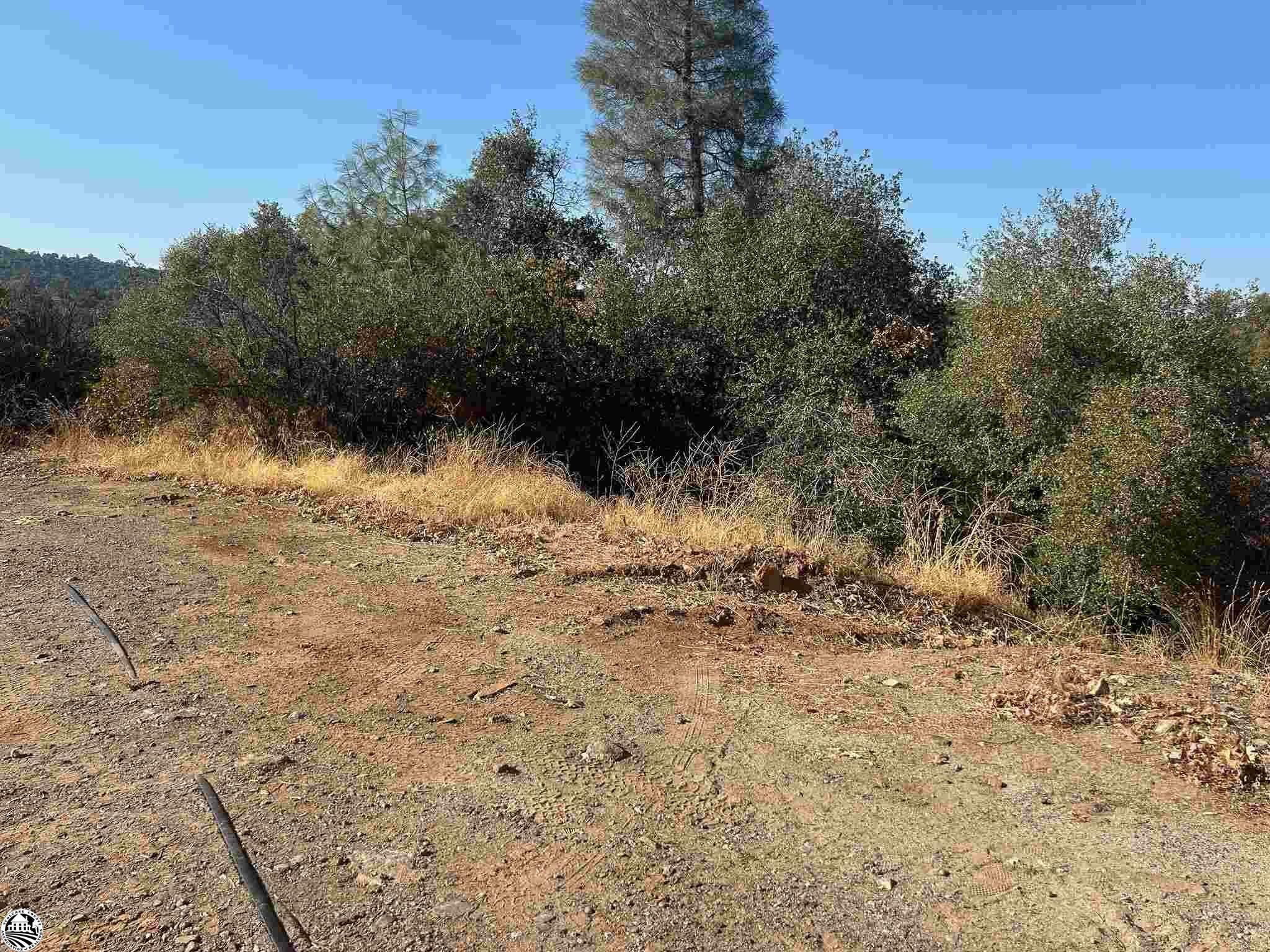 Property Photo:  524 Morningstar Drive  CA 95370 