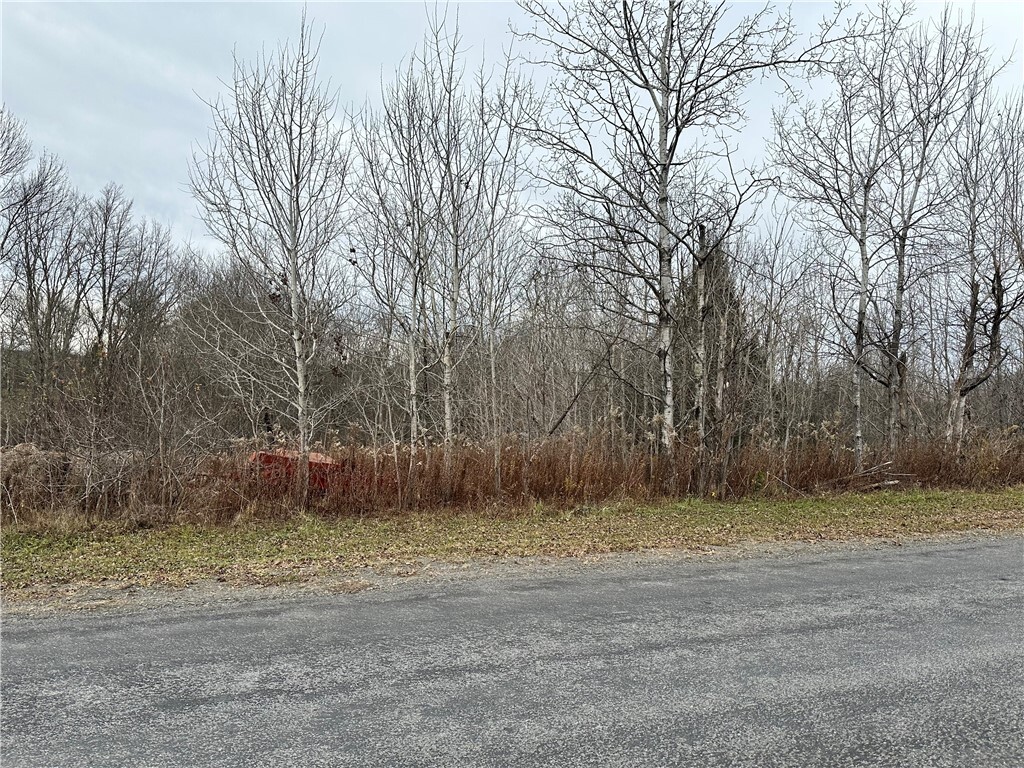 Property Photo: Kostenko Sutton Road NY 13801