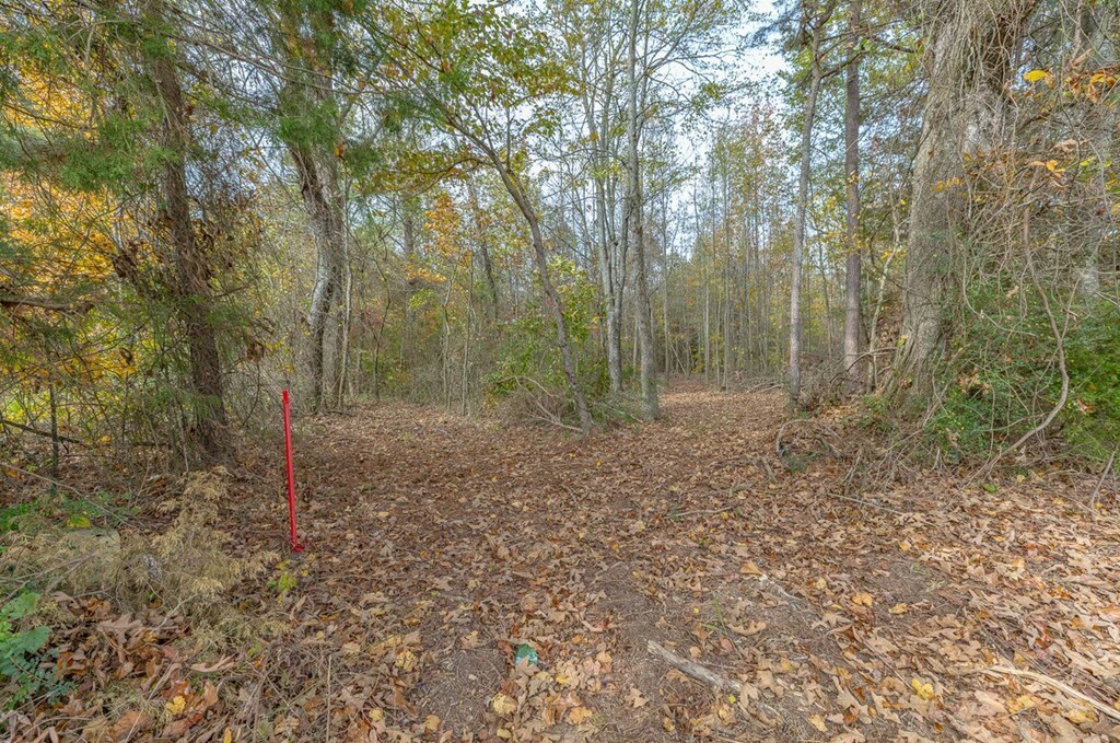 Property Photo:  Tract 9 Old Dalton Cleveland Hwy  GA 30710 