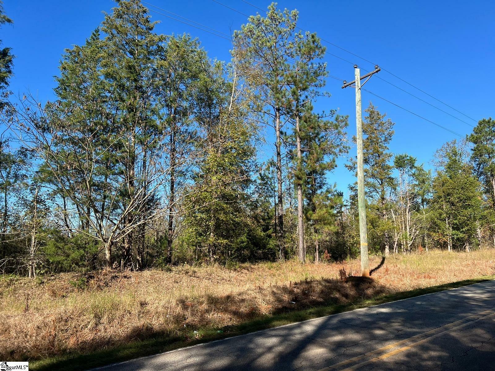 Property Photo:  00 Dillard Road  SC 29384 