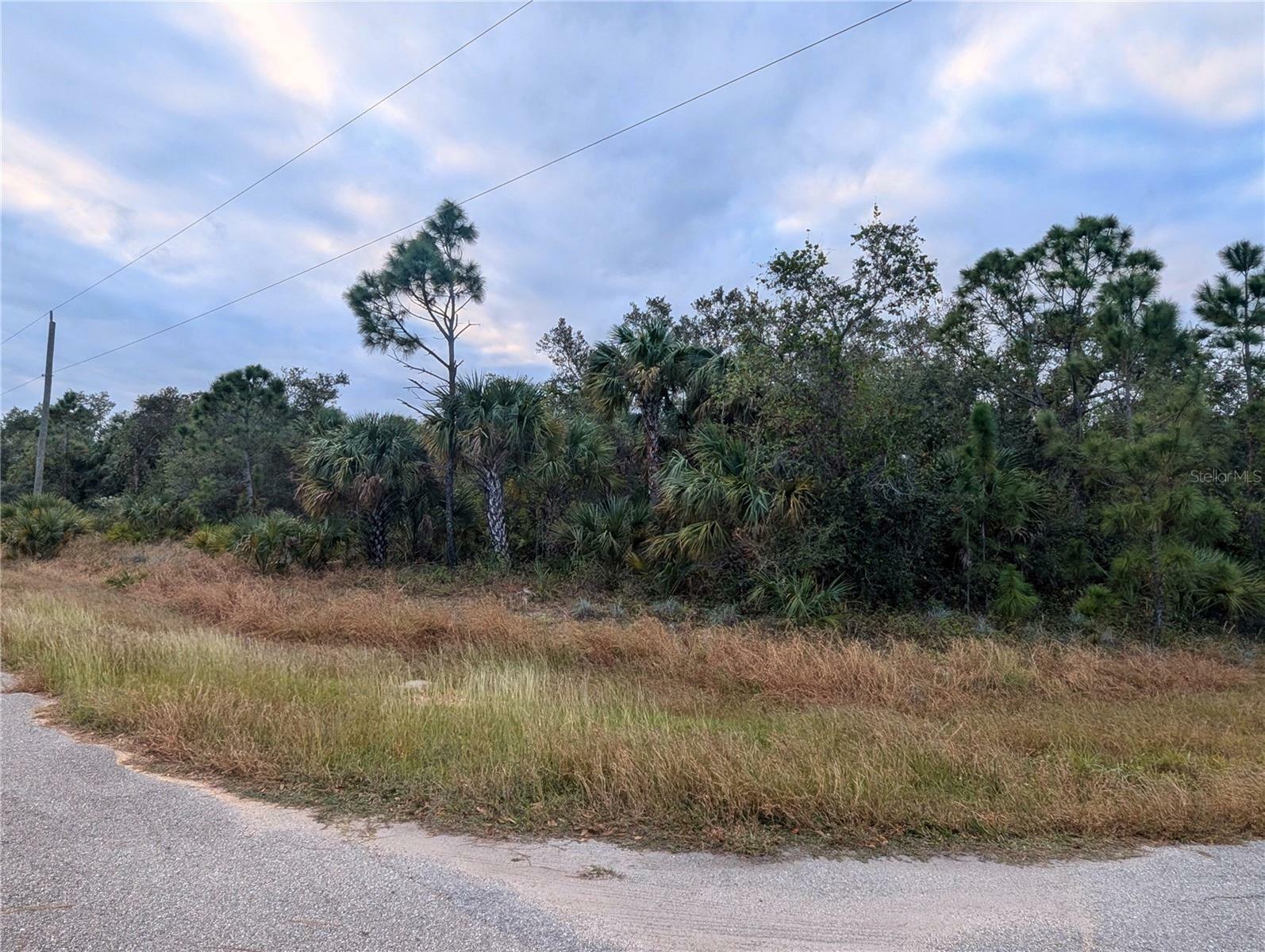 Property Photo:  Lot 11 Mattox Circle  FL 34288 