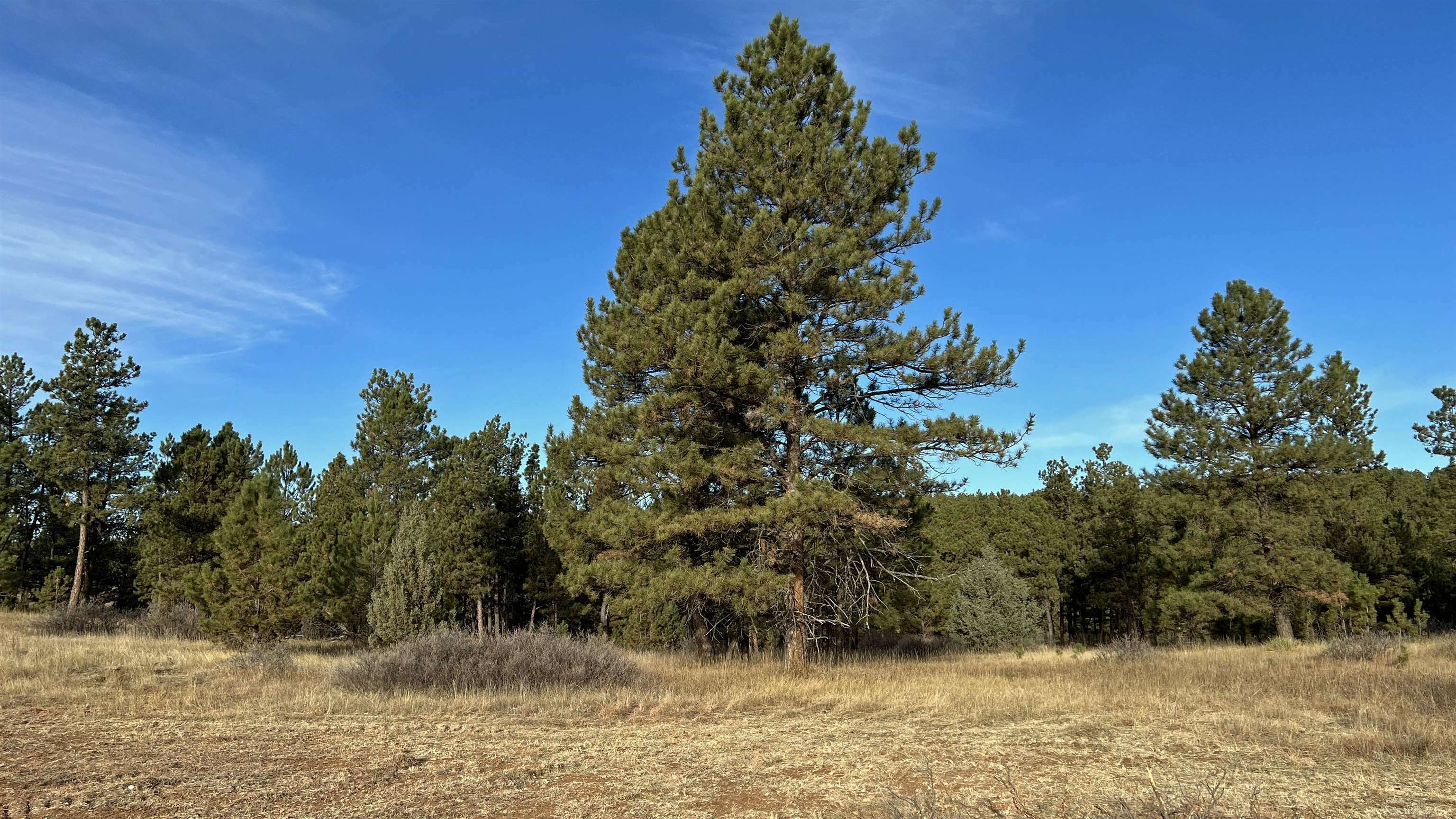 Property Photo:  Lot 4 Westwind Drive  SD 57747 