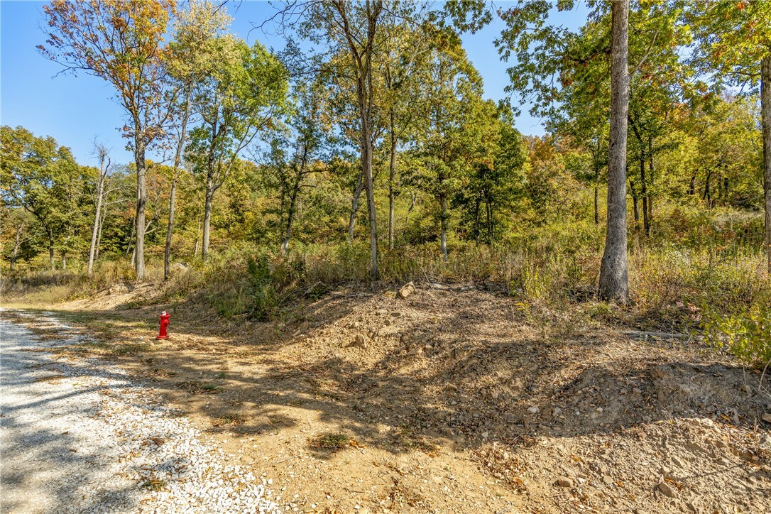 Property Photo:  Lot 51 Restore Ridge  AR 72601 