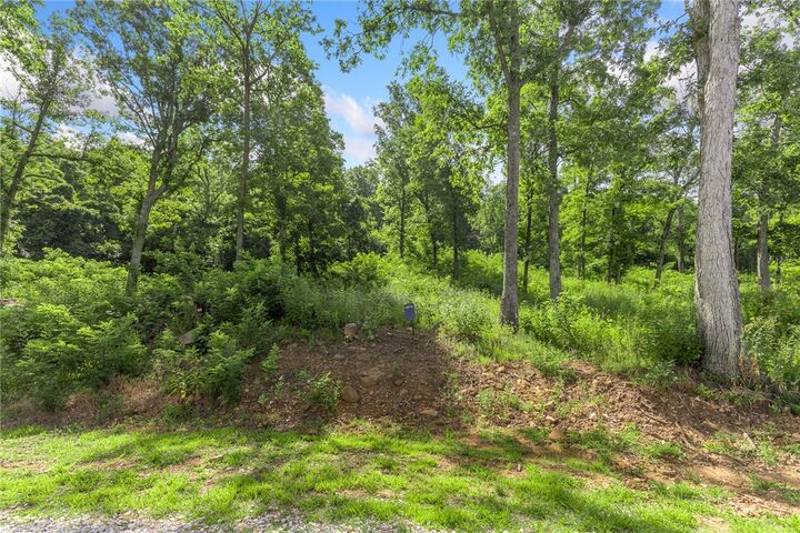 Property Photo: Lot 51 Restore Ridge AR 72601