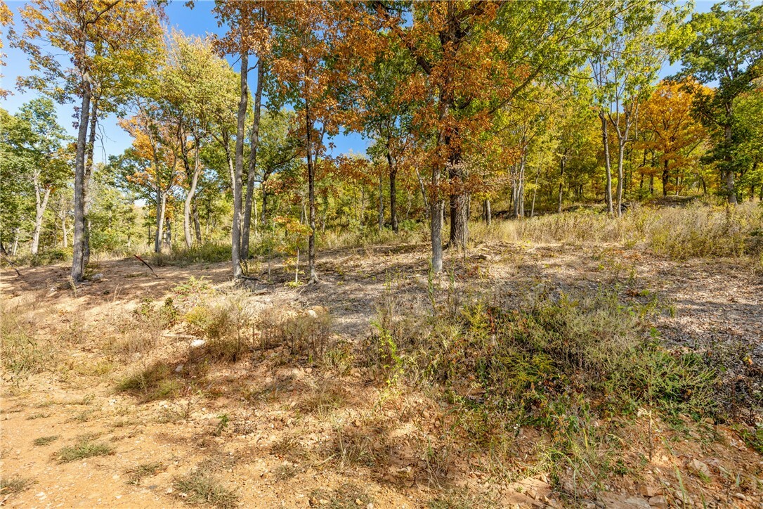 Property Photo:  Lot 54 Restore Ridge  AR 72601 