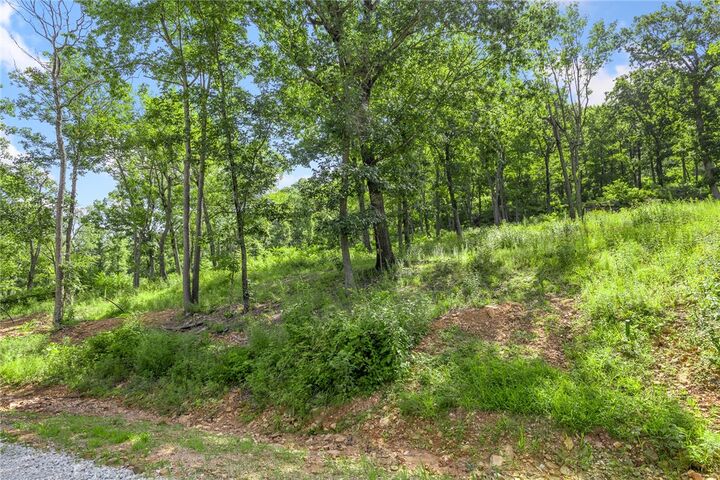 Property Photo: Lot 54 Restore Ridge AR 72601
