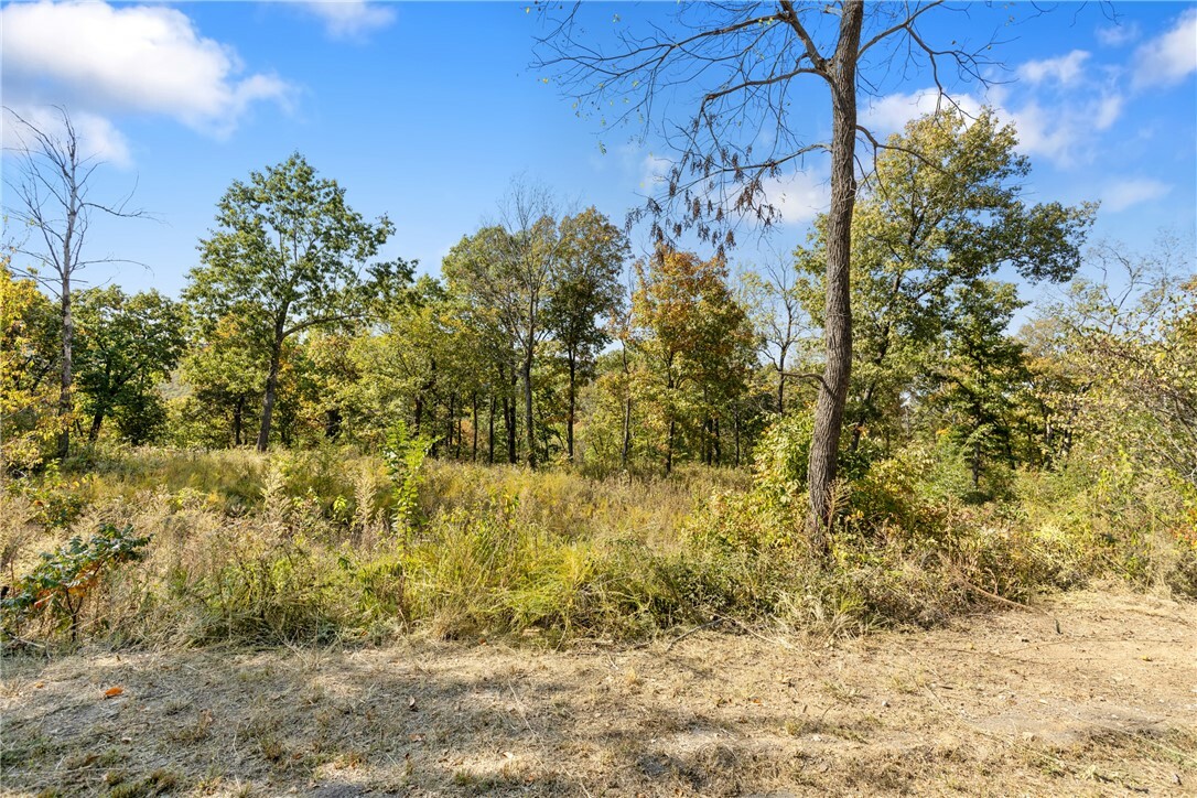 Property Photo:  Lot 30 Peaceful Place  AR 72601 