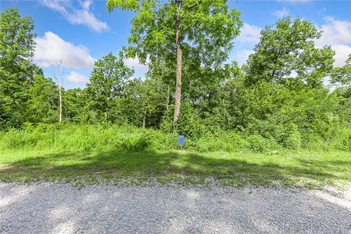 Property Photo: Lot 30 Peaceful Place AR 72601