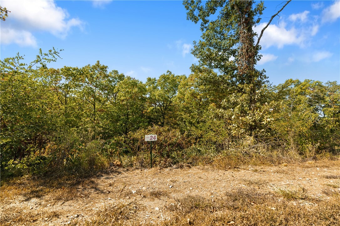 Lot 24 Peaceful Place  Harrison AR 72601 photo