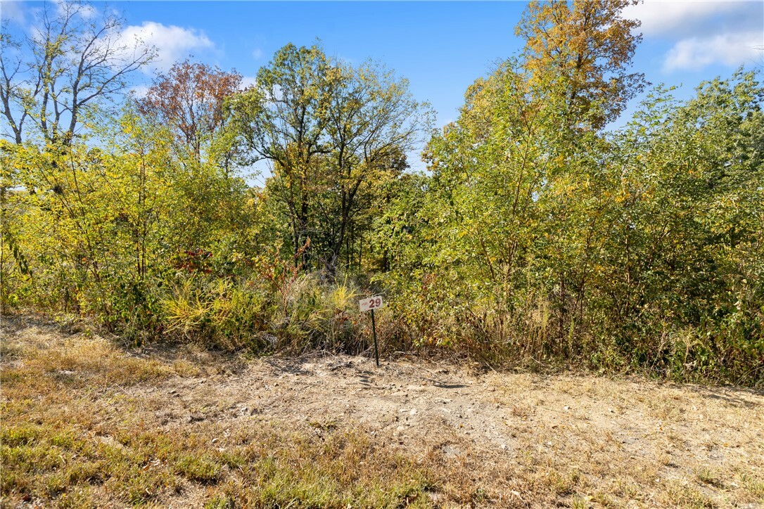 Property Photo:  Lot 29 Peaceful Place  AR 72601 