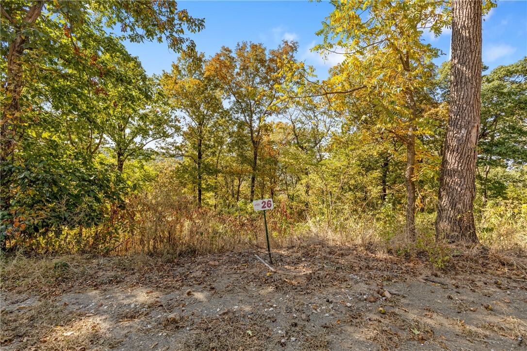 Lot 26 Peaceful Place  Harrison AR 72601 photo