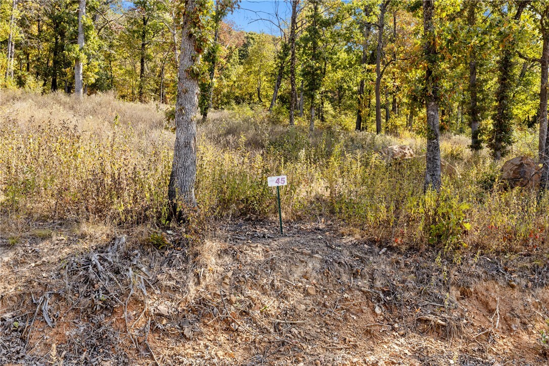 Property Photo:  Lot 45 Restore Ridge  AR 72601 