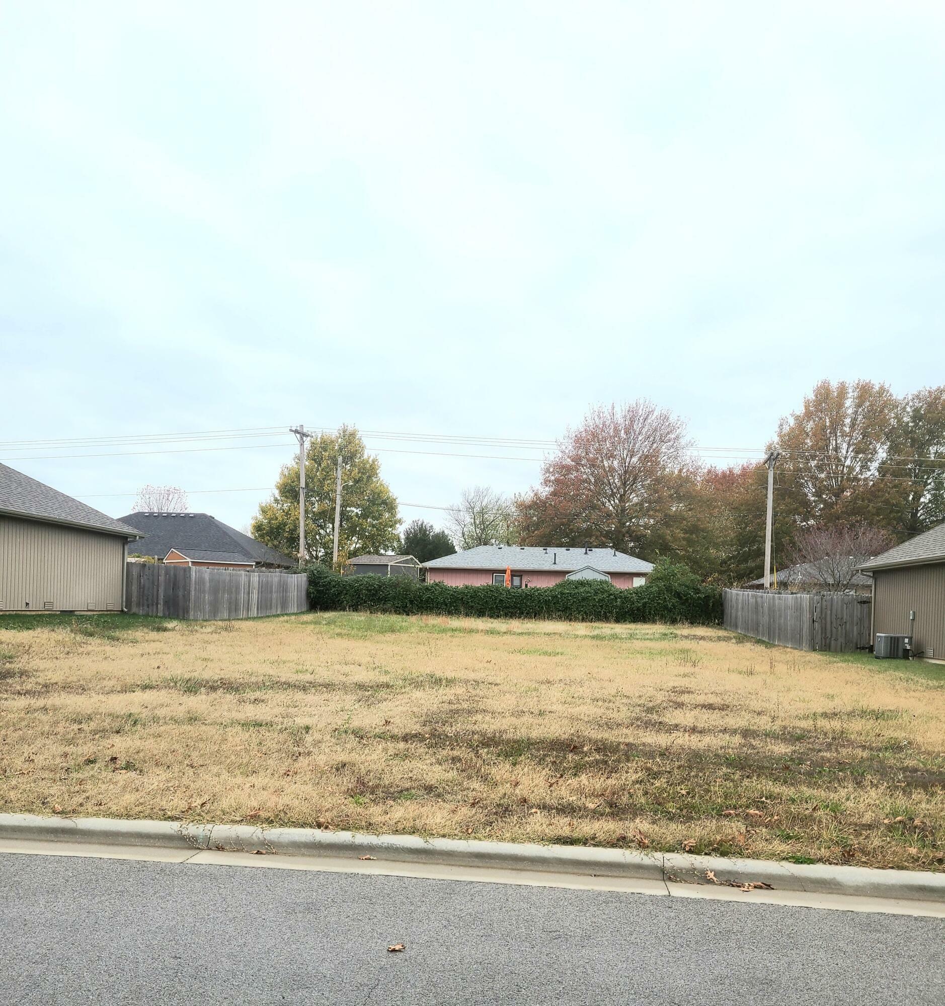 Property Photo:  669 N Santa Monica Drive  MO 65714 