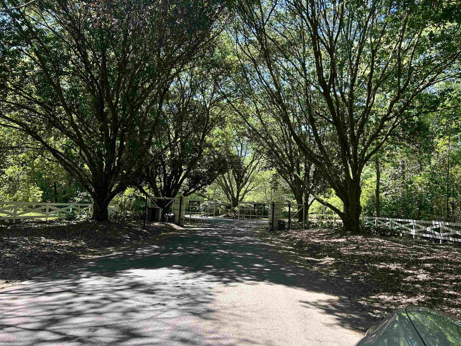 Property Photo: 0 Rosehill Drive FL 32312