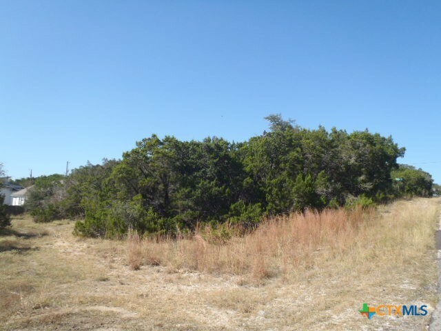 1266 Highpoint Ln  Spring Branch TX 78070 photo