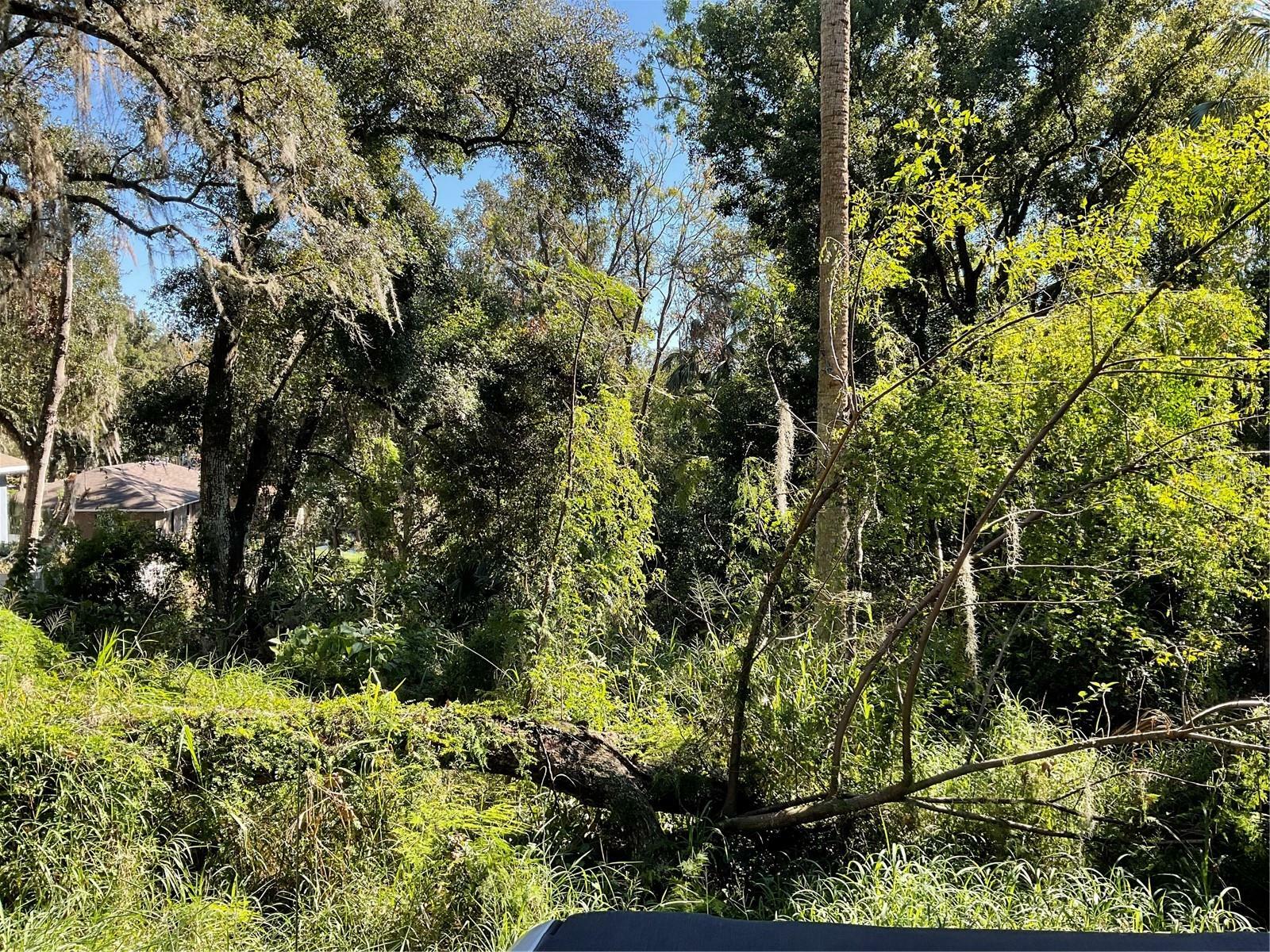 Property Photo: E Fruitland Street FL 34731