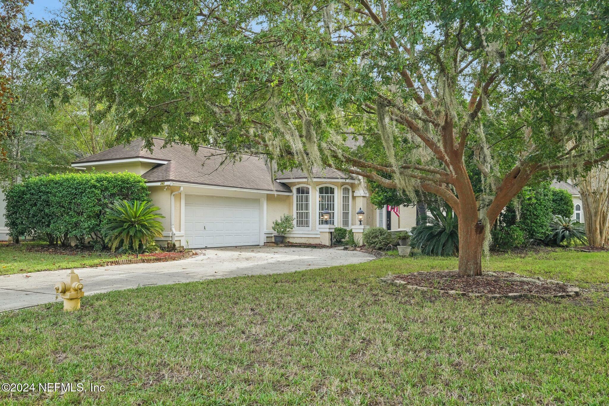 Property Photo:  243 Sweetbrier Branch Lane  FL 32259 