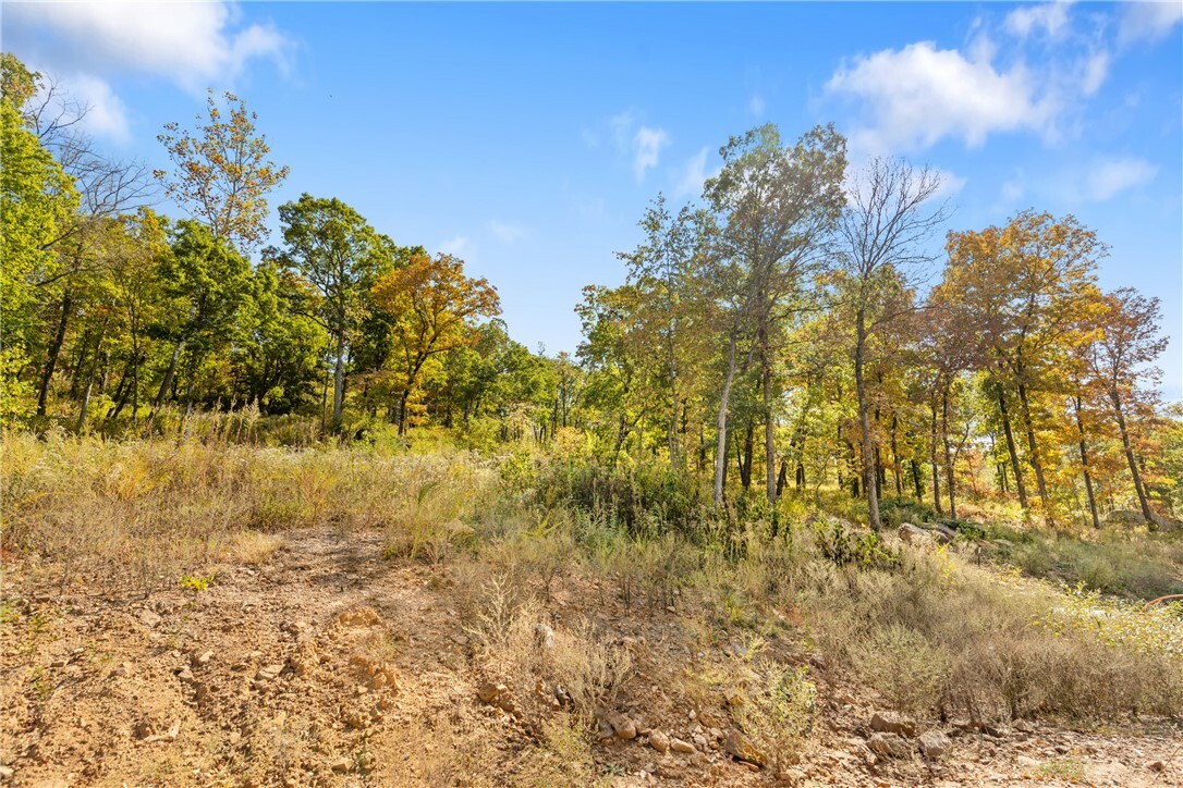 Property Photo:  Lot 57 Restore Ridge  AR 72601 