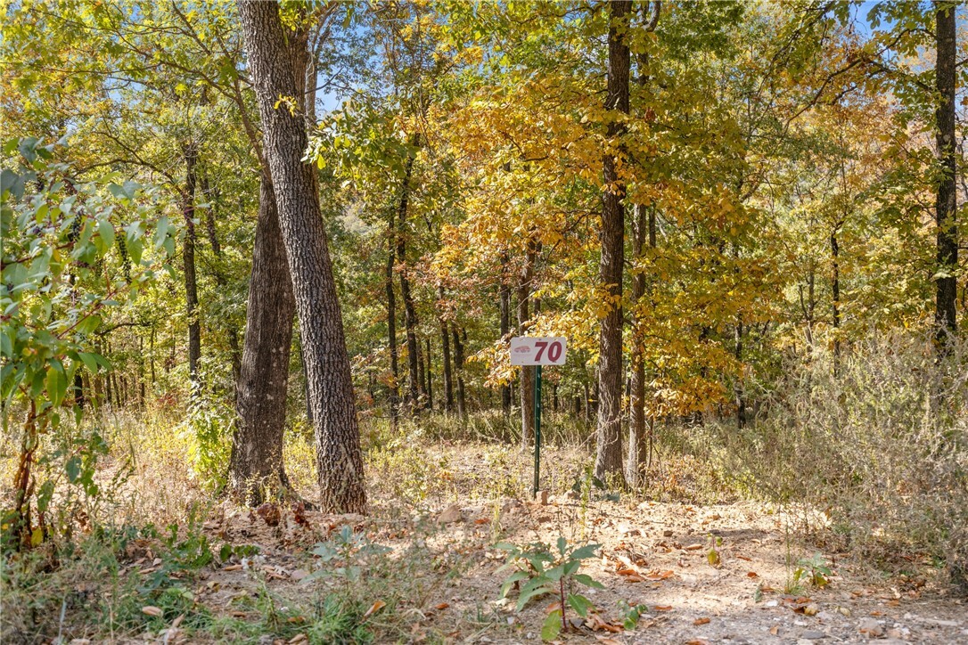 Property Photo:  Lot 70 Restore Ridge  AR 72601 