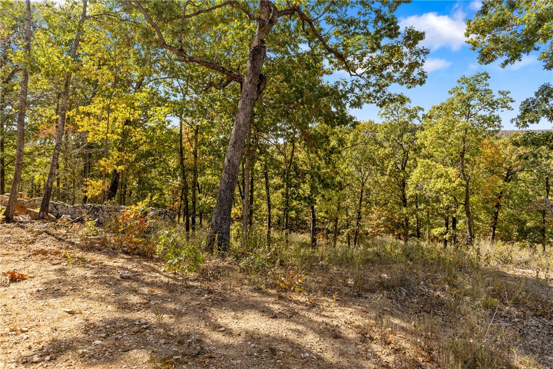 Property Photo:  Lot 76 Restore Ridge  AR 72601 