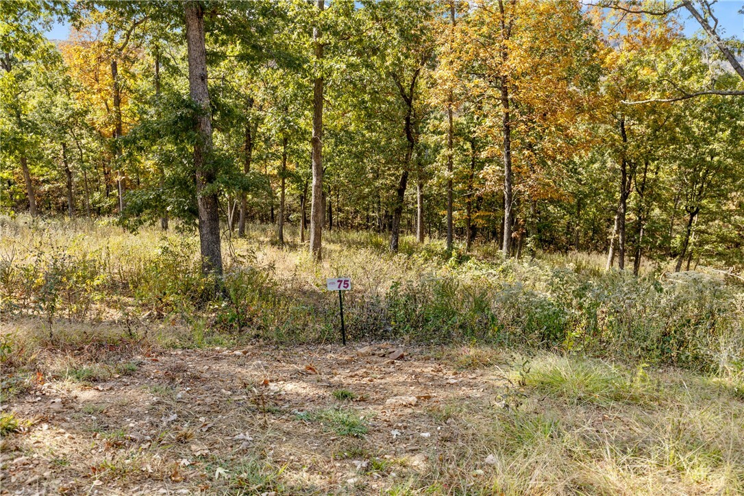 Property Photo:  Lot 75 Restore Ridge  AR 72601 