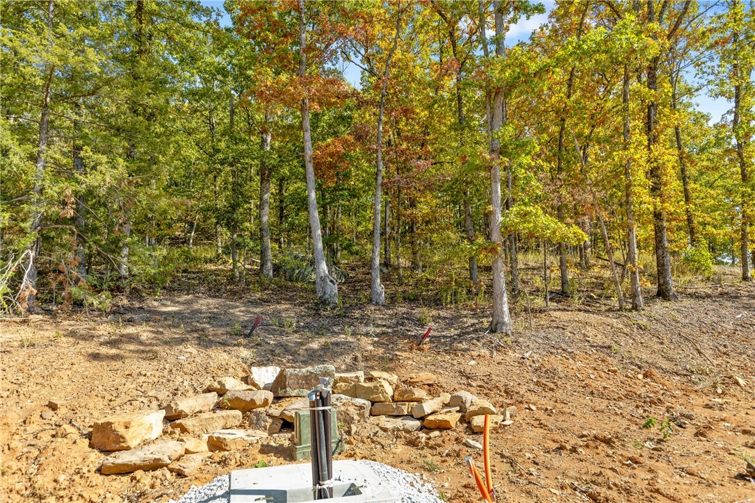 Property Photo:  Lot 64 Restore Ridge  AR 72601 