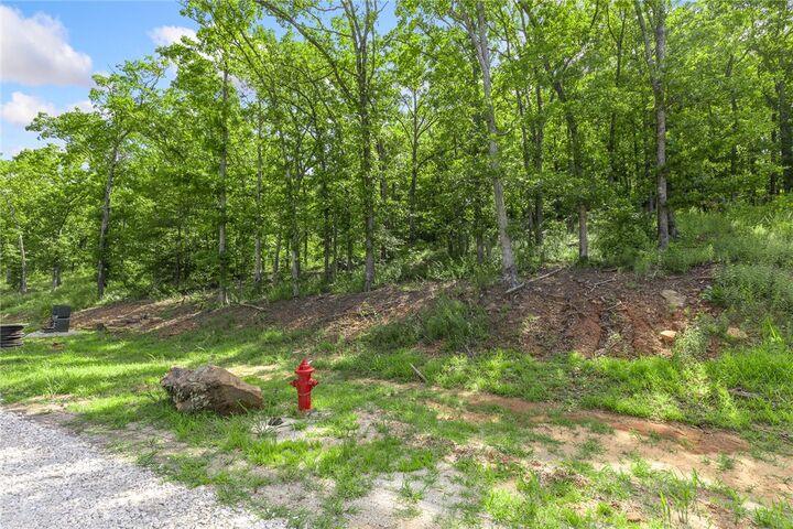 Property Photo: Lot 64 Restore Ridge AR 72601