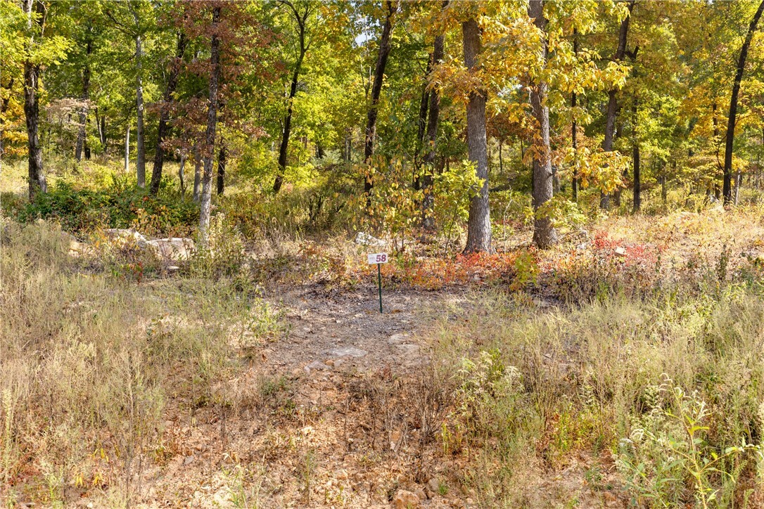 Property Photo:  Lot 58 Restore Ridge  AR 72601 