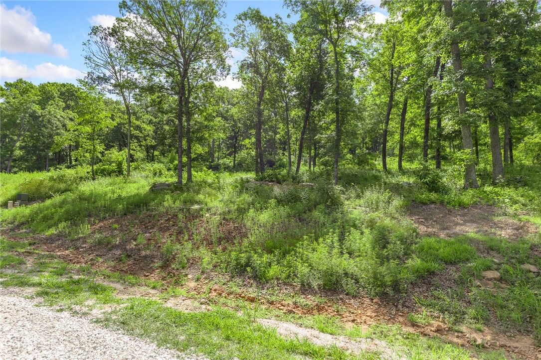 Property Photo:  Lot 58 Restore Ridge  AR 72601 
