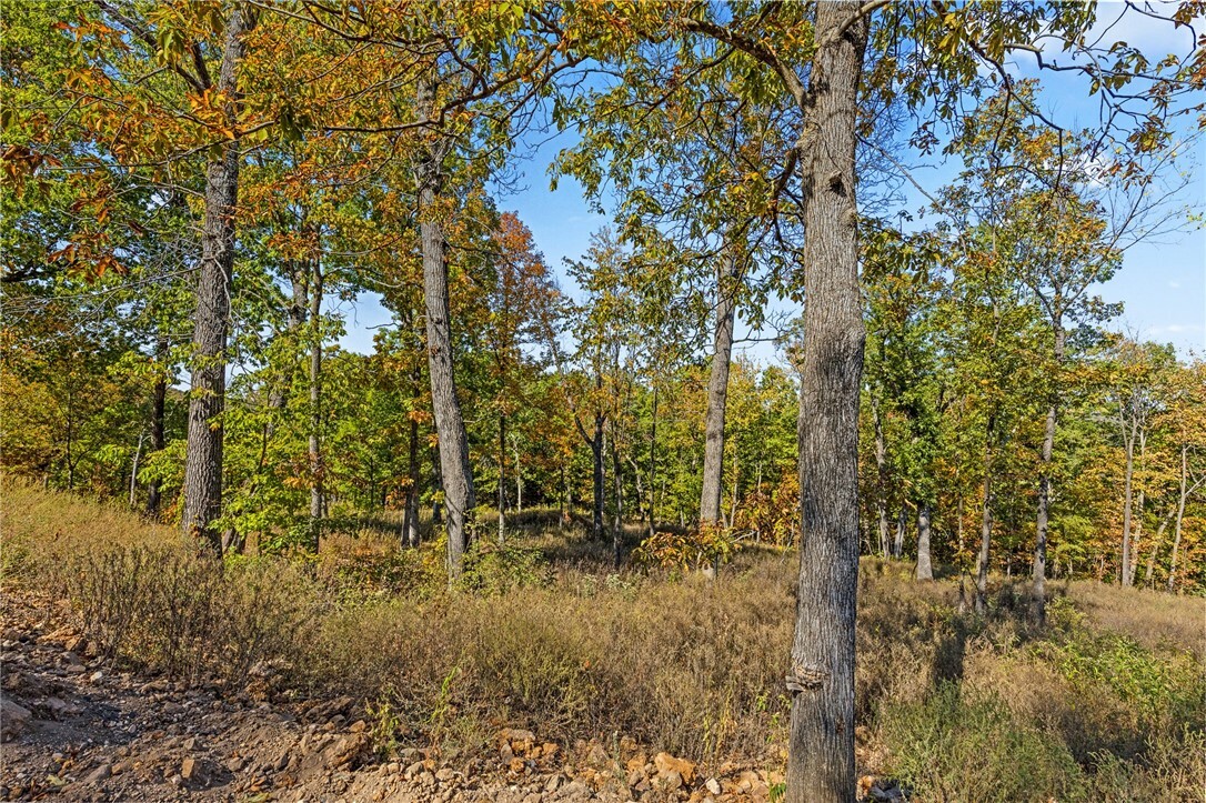 Property Photo:  Lot 88 Restore Circle  AR 72601 