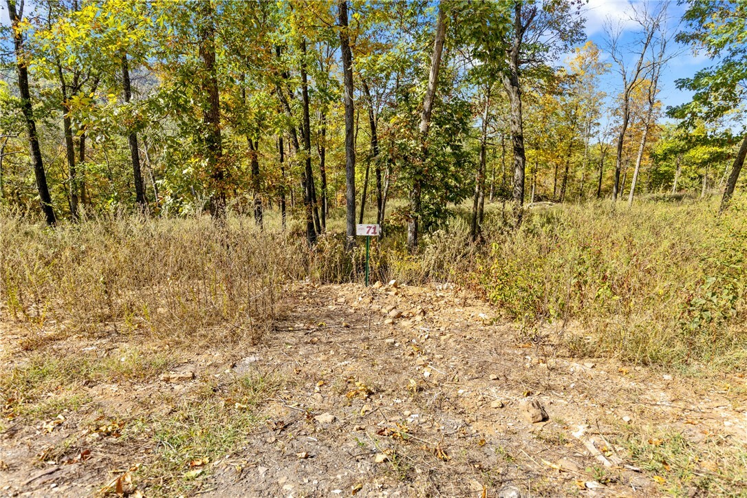 Property Photo:  Lot 71 Restore Ridge  AR 72601 