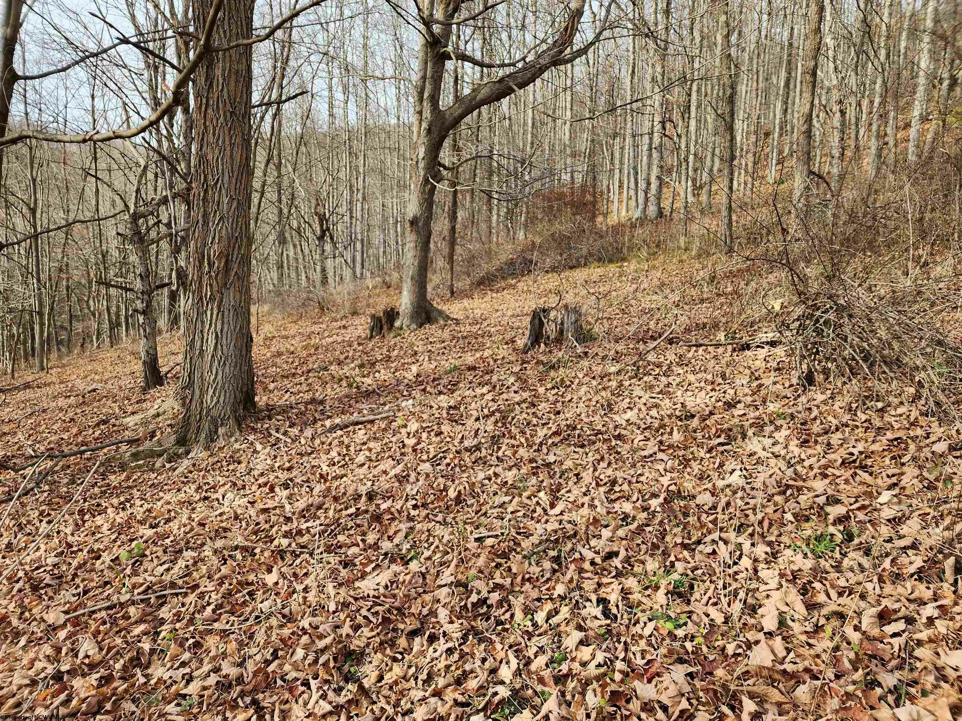 Property Photo:  Lot 4 High Mountain Road  WV 26270 