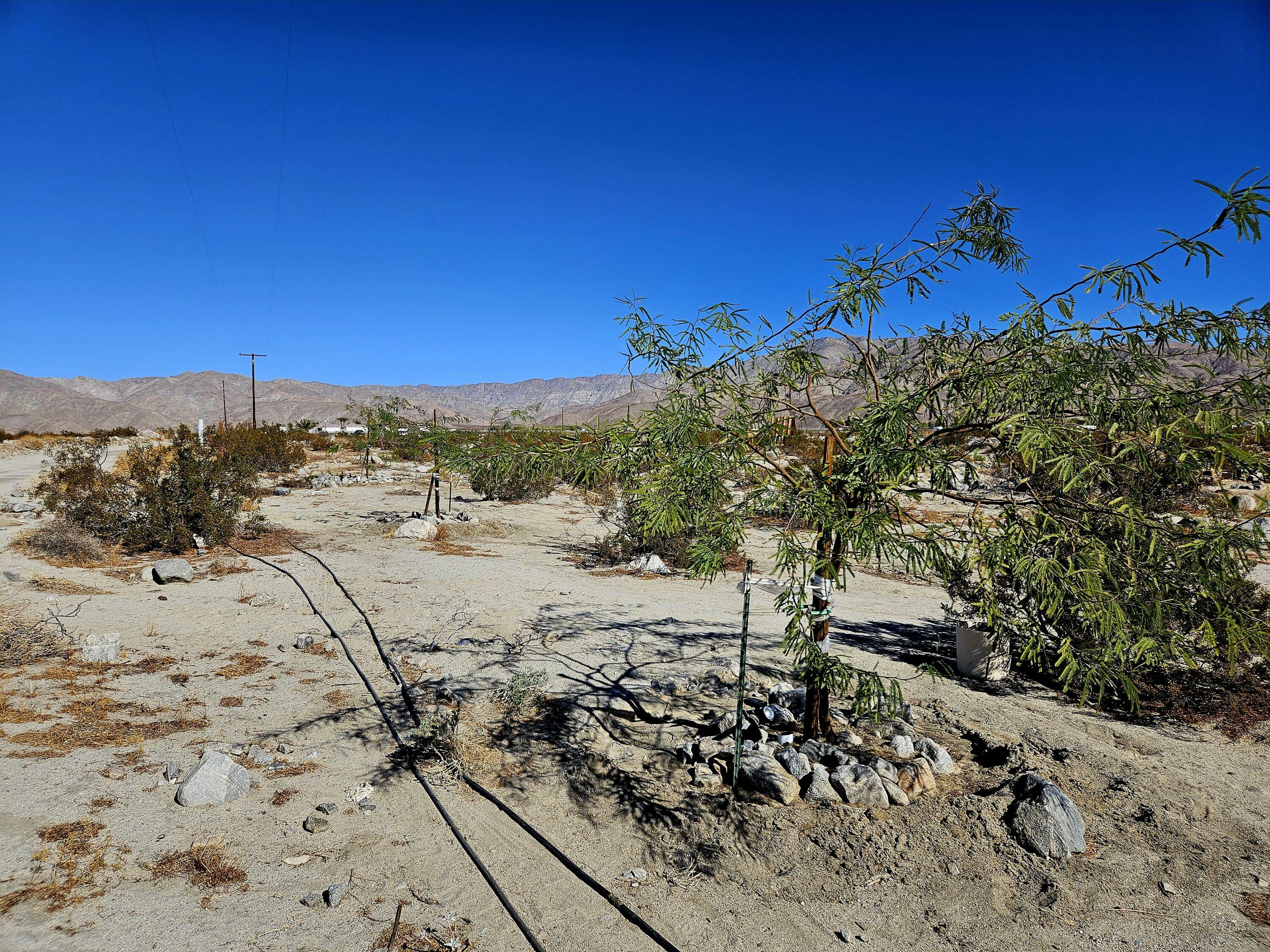 Property Photo:  23750 Larsen Lane  CA 92241 