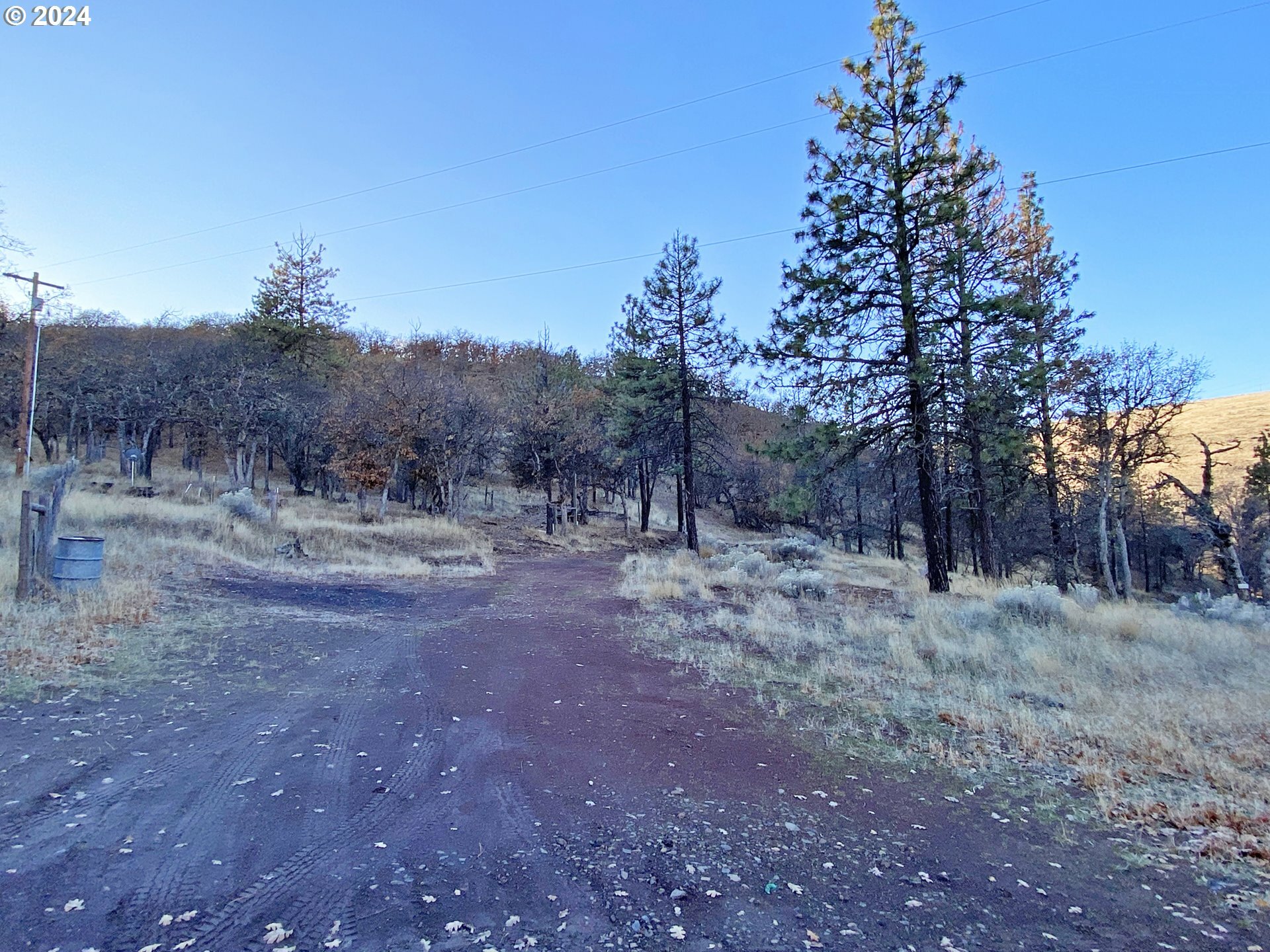 Property Photo:  295 Oak Flat Rd  WA 98620 