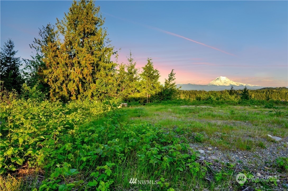 Property Photo:  10602 177th Avenue Ct E  WA 98391 