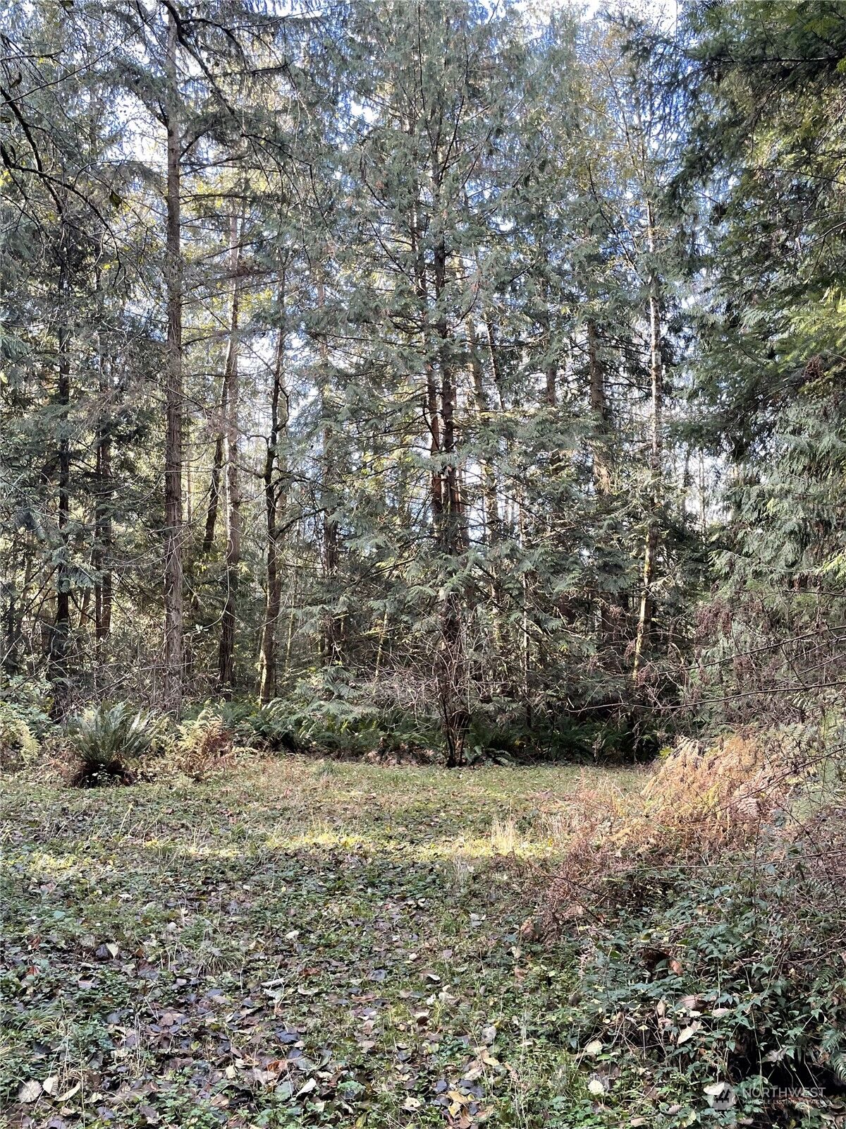 Property Photo: 0 5xx Dodger Lane WA 98363