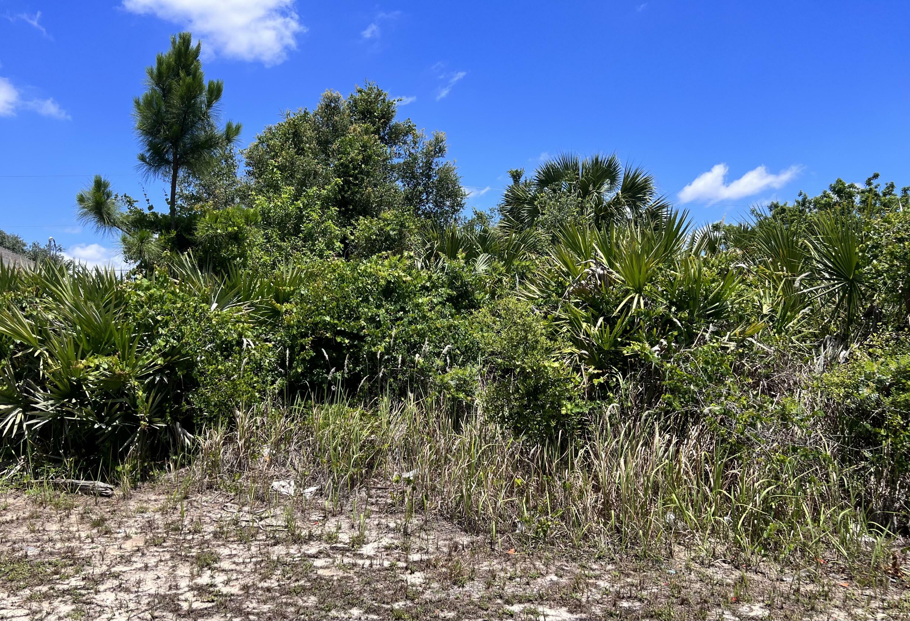 Property Photo:  27137 Corinthian Drive  FL 33955 