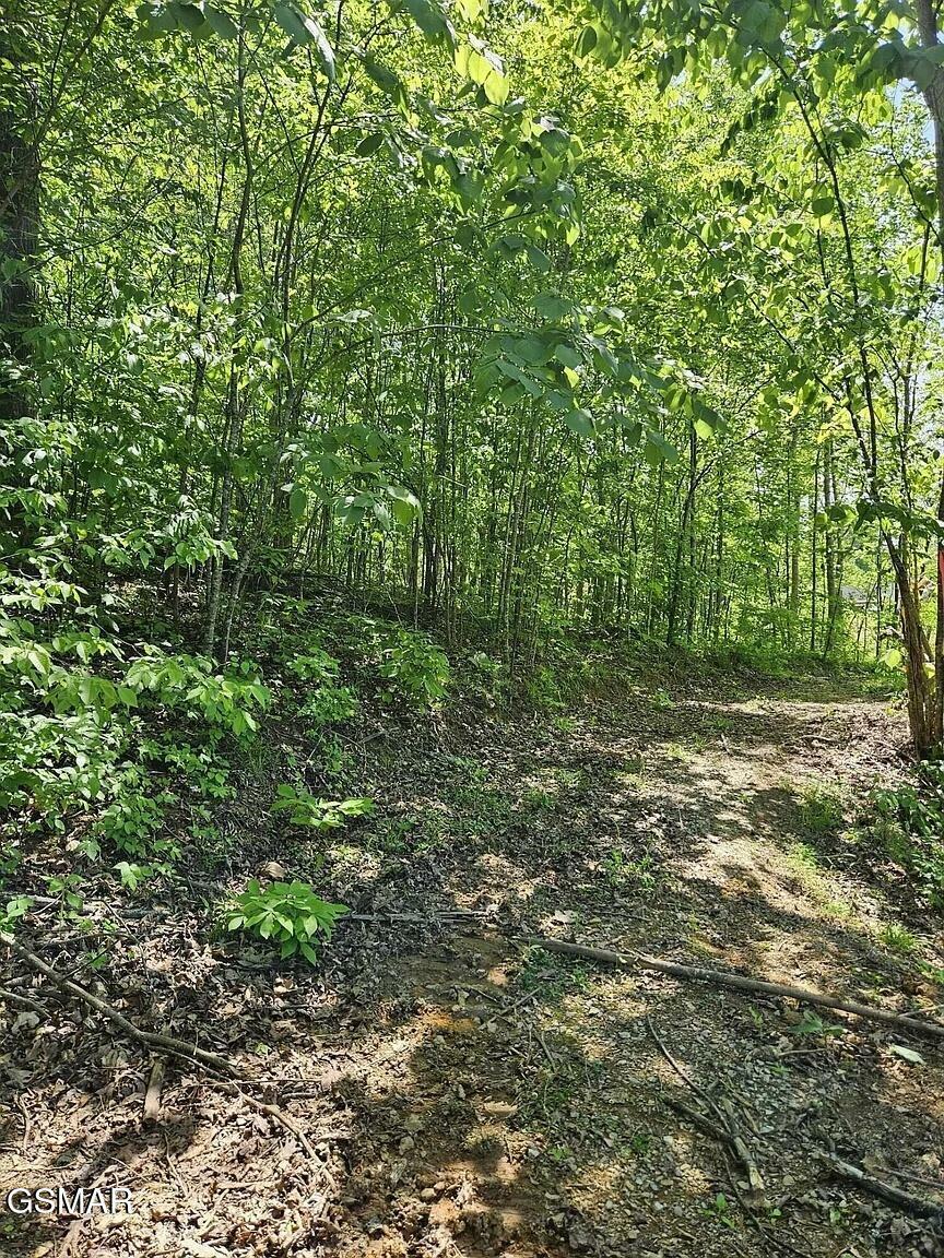 Property Photo:  0.93 Acre Nina Rd  TN 37890 